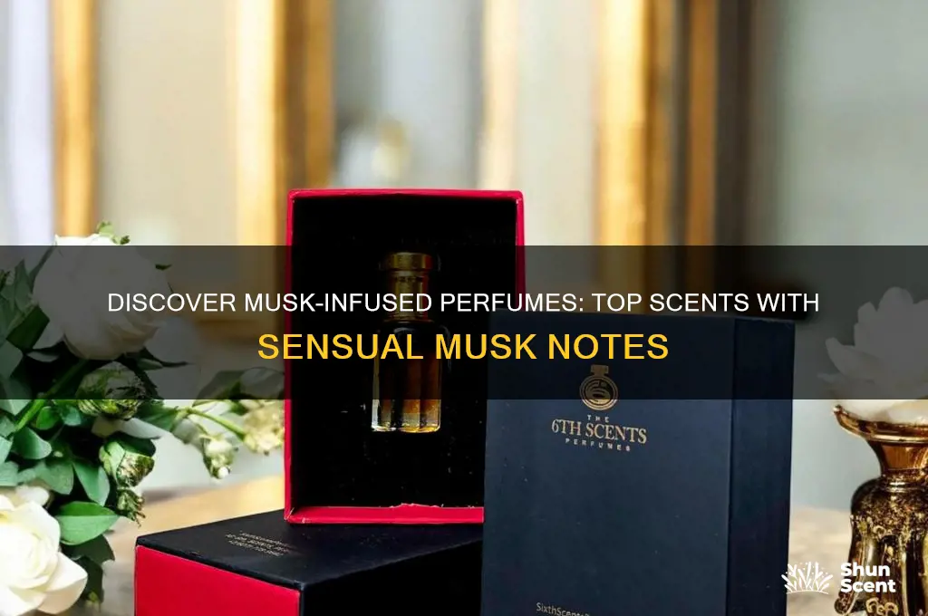 what perfume has musk in it