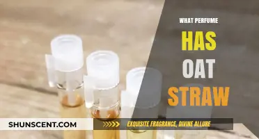 Discover the Unique Scent: Perfumes Infused with Oat Straw Notes