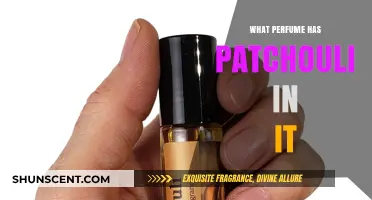 Discover Patchouli Perfumes: Top Scents with Earthy Patchouli Notes