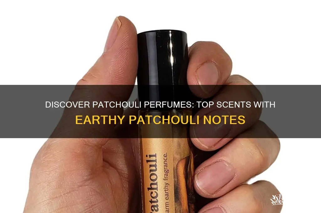what perfume has patchouli in it