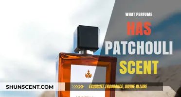 Discover Enchanting Perfumes with Rich Patchouli Scents for Every Occasion