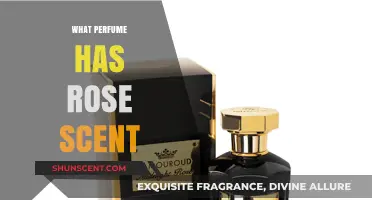 Discover the Best Rose-Scented Perfumes for a Timeless Floral Aroma
