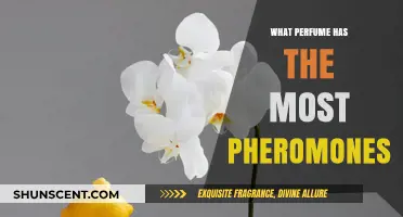 Unveiling the Scent: Which Perfume Contains the Highest Pheromones?