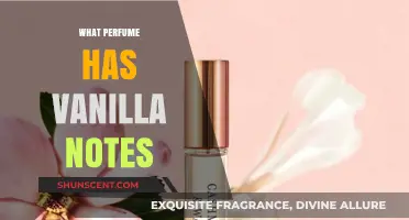 Discover the Best Perfumes with Warm, Sweet Vanilla Notes