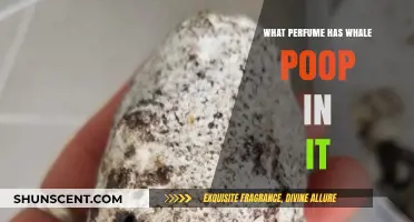 Whale Poop in Perfume: Unveiling the Ambergris Mystery
