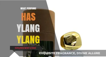 Discover Perfumes with Ylang Ylang: Top Scents Featuring This Floral Note