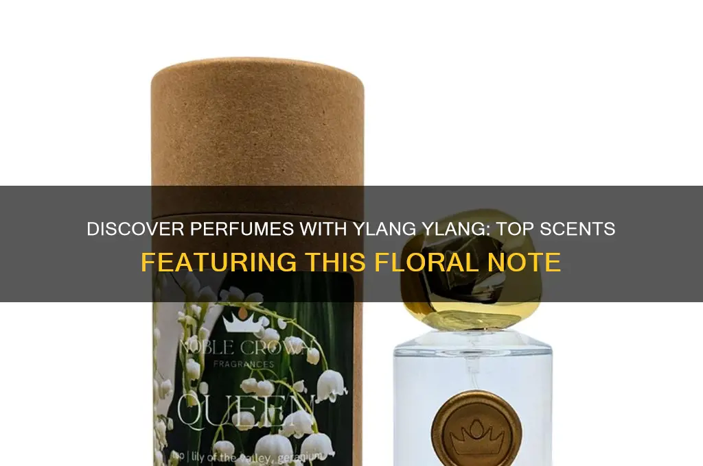 what perfume has ylang ylang