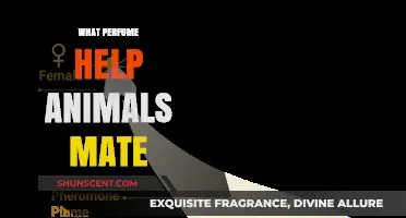Scents of Attraction: Perfumes That Enhance Animal Mating Rituals