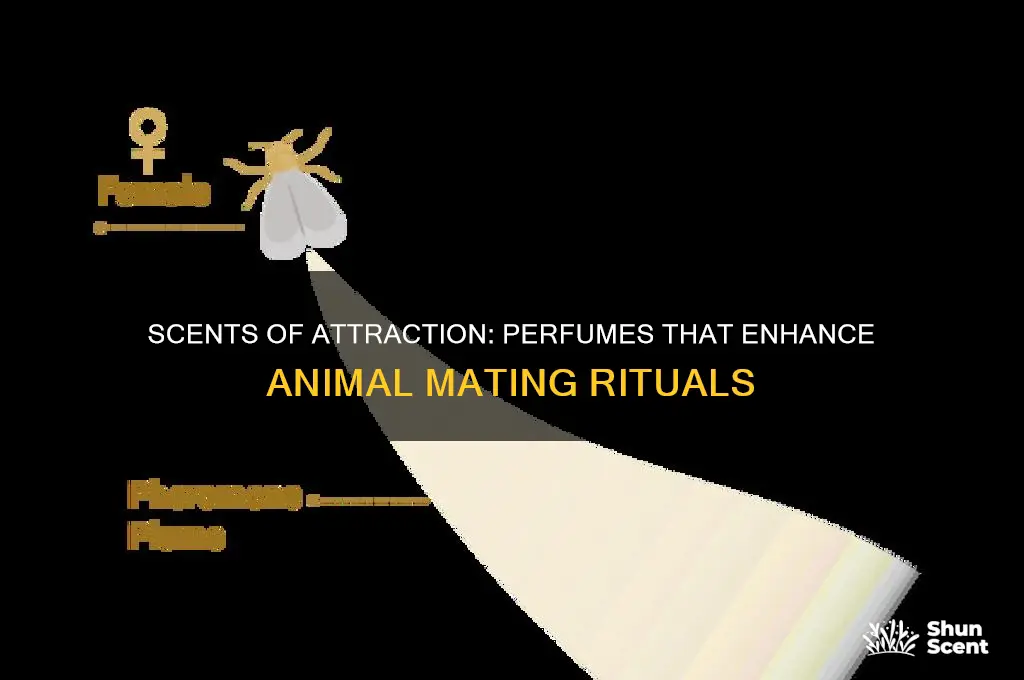 what perfume help animals mate