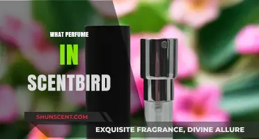 Discover Your Signature Scent: What Perfume Does Scentbird Offer?