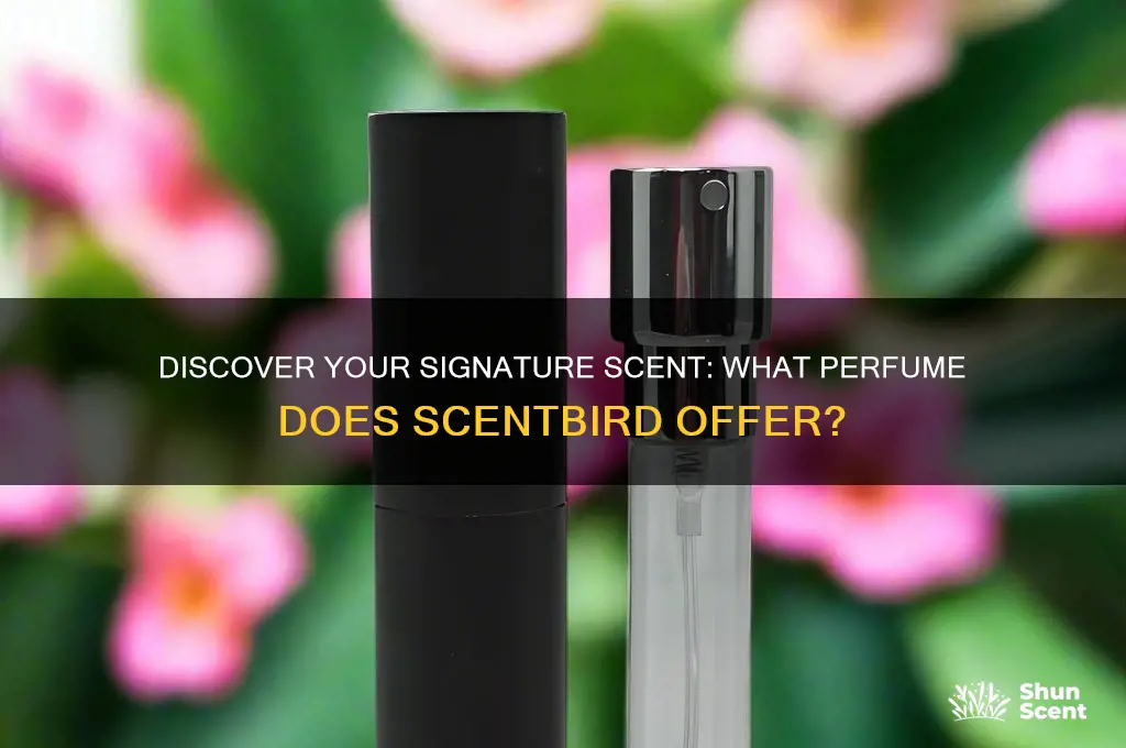 what perfume in scentbird
