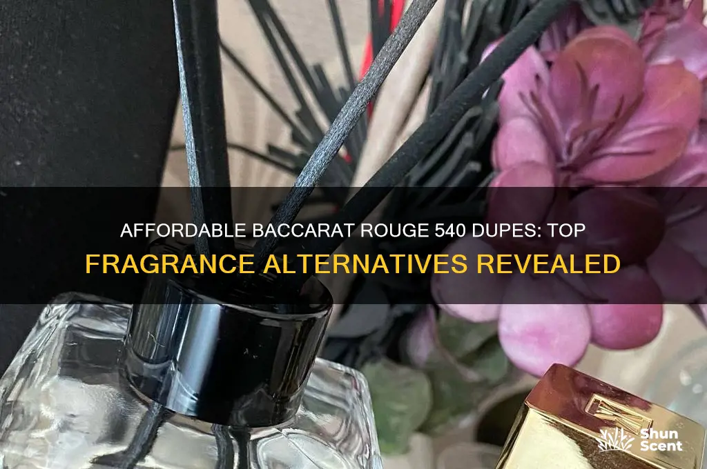 what perfume is a dupe for baccarat rouge 540