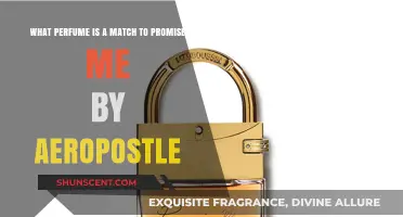 Find Your Scent Twin: Perfumes Similar to Promise Me by Aeropostale