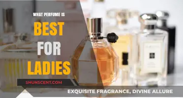 Discover the Perfect Scent: Top Perfumes for Women to Love