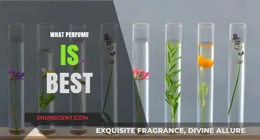 Discover Your Signature Scent: The Ultimate Guide to Choosing the Best Perfume