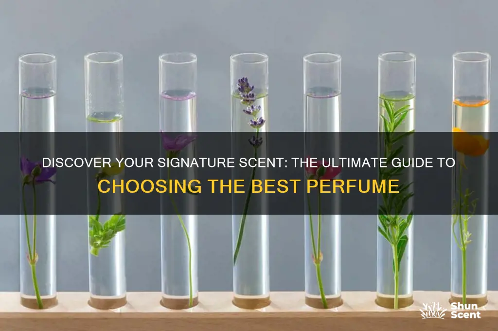what perfume is best