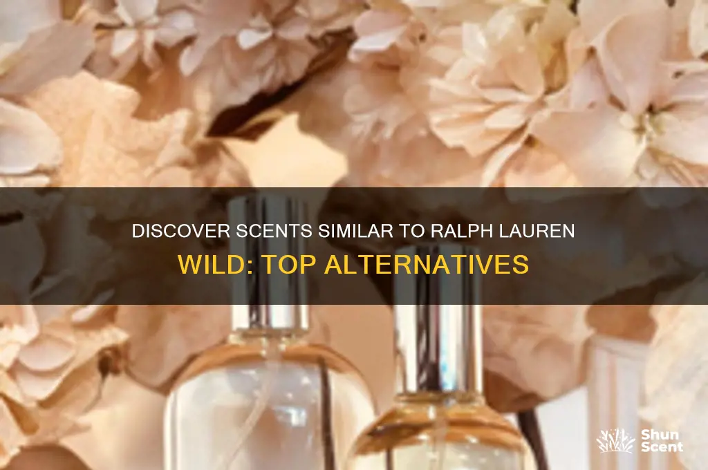 what perfume is close to ralph lauren wild