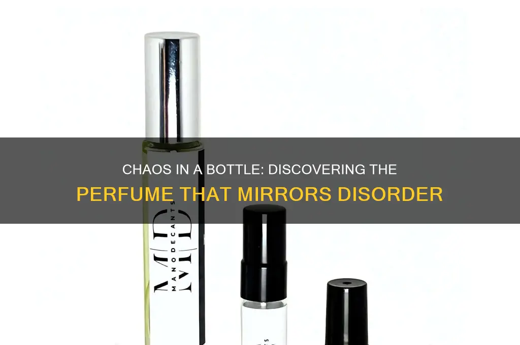what perfume is closest to chaos
