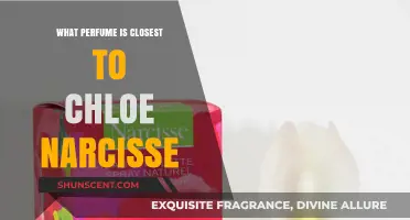 Discover the Perfect Scent: Fragrances Similar to Chloe Narcisse