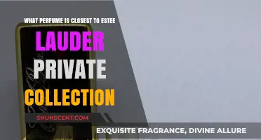 Discover Scents Similar to Estee Lauder Private Collection: Top Picks