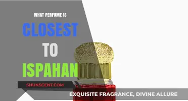 Discover the Perfect Scent: Perfumes Closest to Ispahan's Essence
