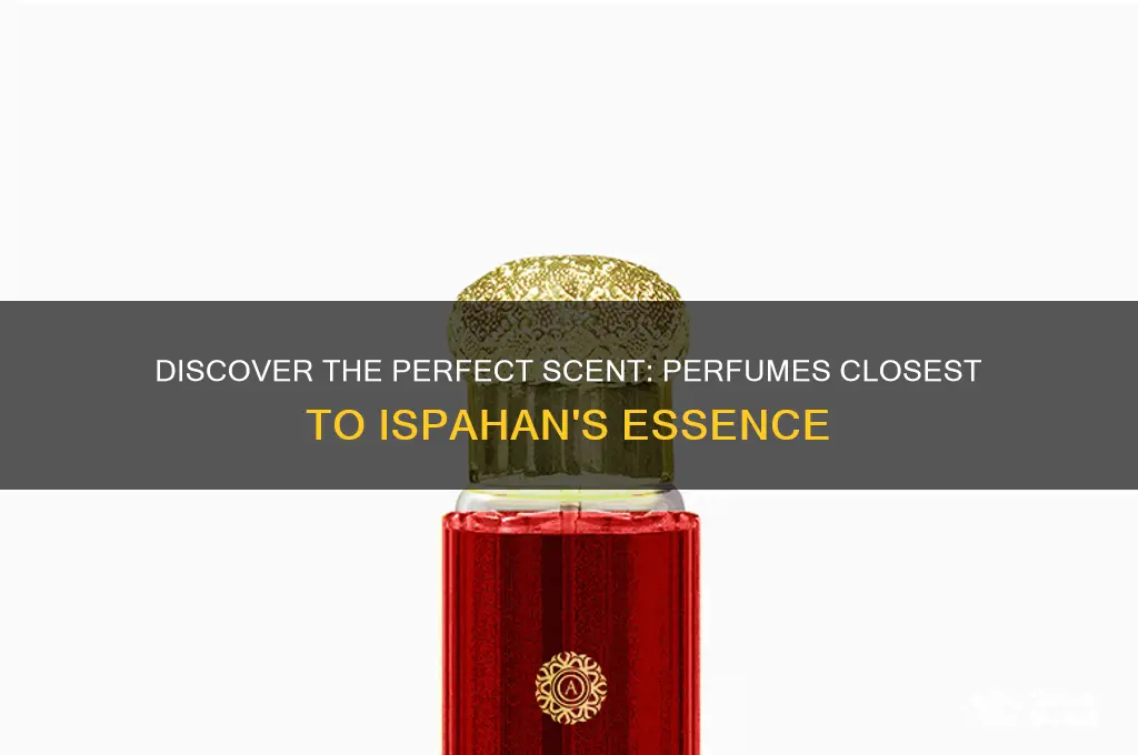what perfume is closest to ispahan