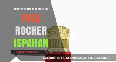Discover the Perfect Scent: Ispahan's Closest Perfume Match Revealed