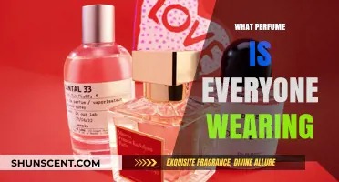 Discover the Most Popular Perfumes Everyone's Wearing Right Now
