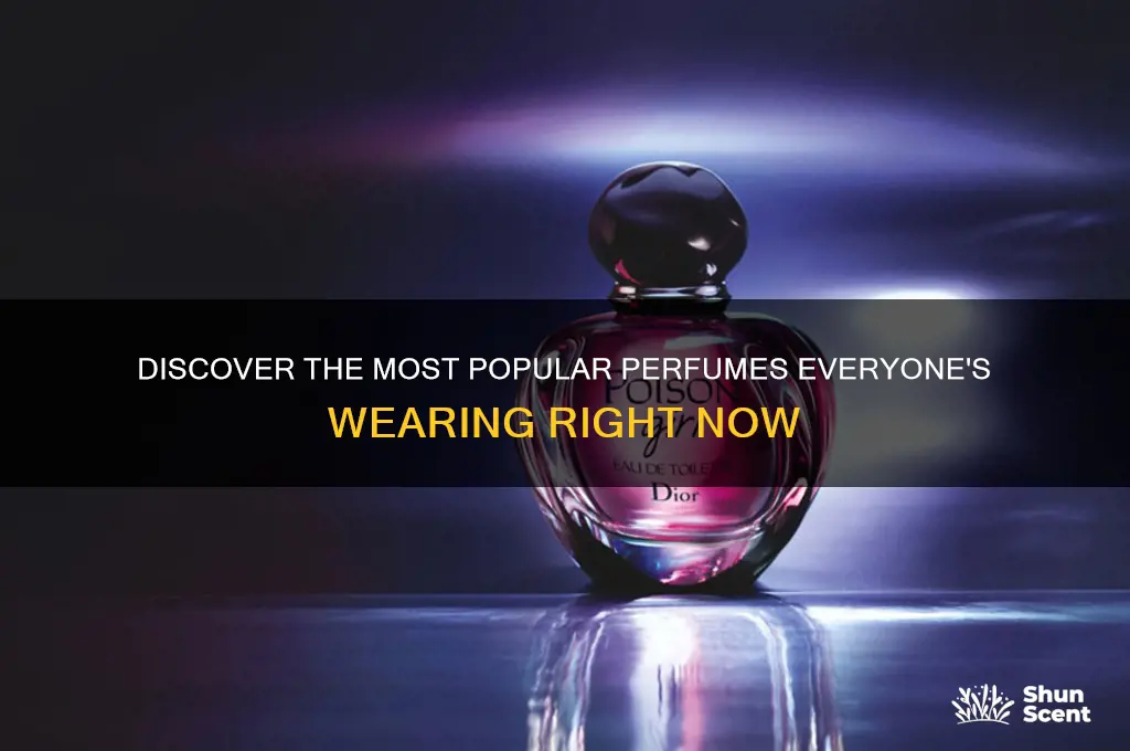 what perfume is everyone wearing