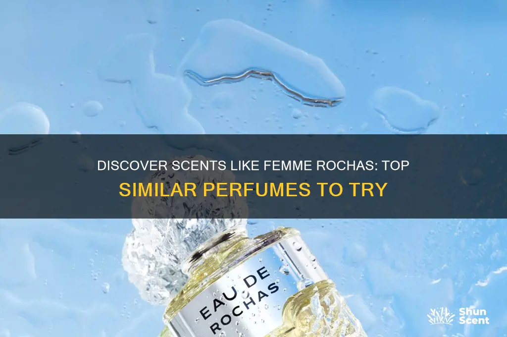 what perfume is femme rochas similar to