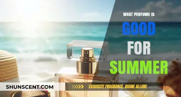 Fresh Summer Scents: Top Perfumes to Beat the Heat