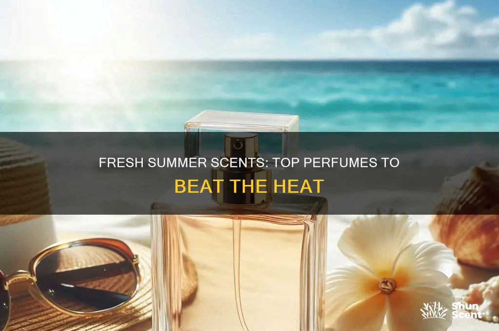 what perfume is good for summer