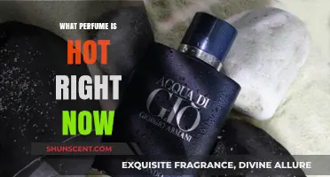 Trending Scents: The Hottest Perfumes Everyone's Talking About Now