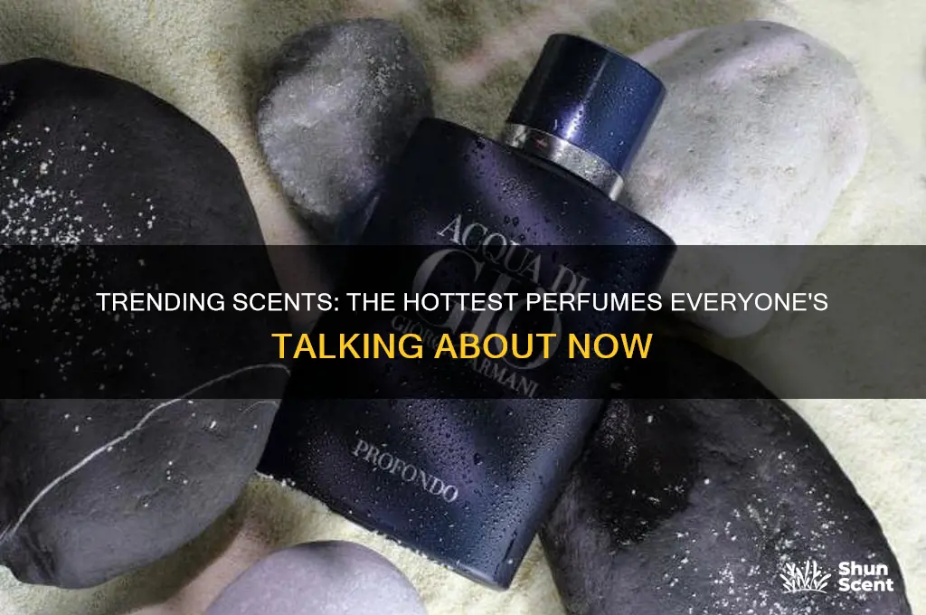 what perfume is hot right now