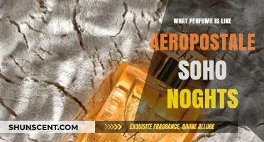 Discover Scents Similar to Aeropostale Soho Nights: A Fragrance Guide