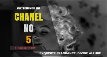 Discover Scents Similar to Chanel No. 5: A Fragrance Guide