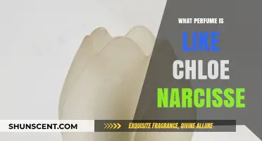 Chloe Narcisse: Similar Scents and Fragrances