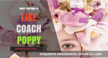 Discover Scents Similar to Coach Poppy: A Fragrance Guide
