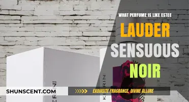 Discover Sensual Scents: Perfumes Similar to Estee Lauder Sensuous Noir