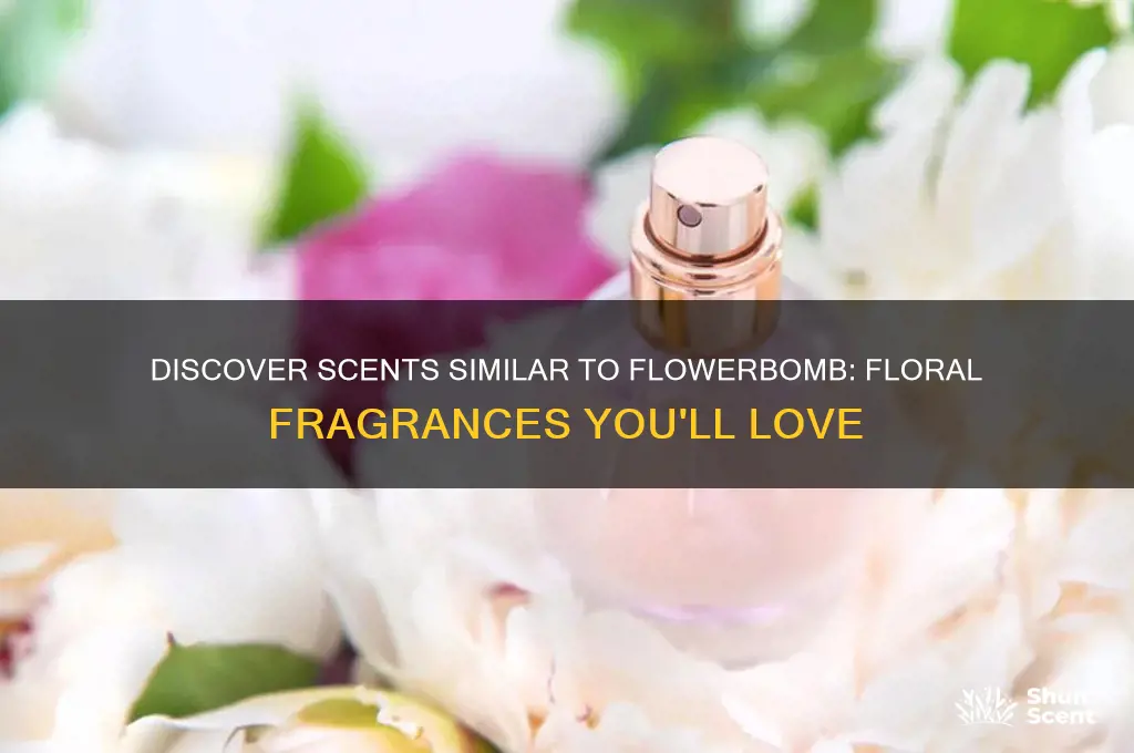 what perfume is like flowerbomb