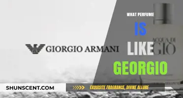 Discover Scents Similar to Georgio: A Guide to Comparable Perfumes