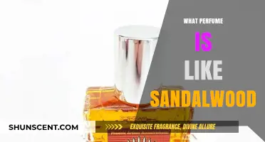 Discover Scents Similar to Sandalwood: A Perfumer's Guide