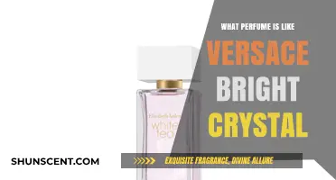 Discover Scents Similar to Versace Bright Crystal: Fresh, Floral Alternatives