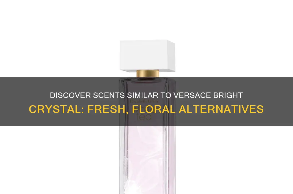 what perfume is like versace bright crystal