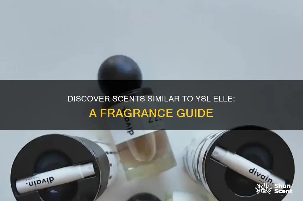 what perfume is like ysl elle