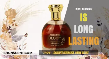 Discover the Most Long-Lasting Perfumes for All-Day Fragrance