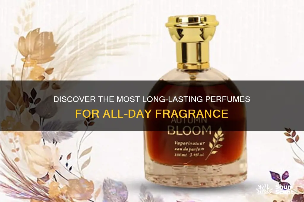 what perfume is long lasting