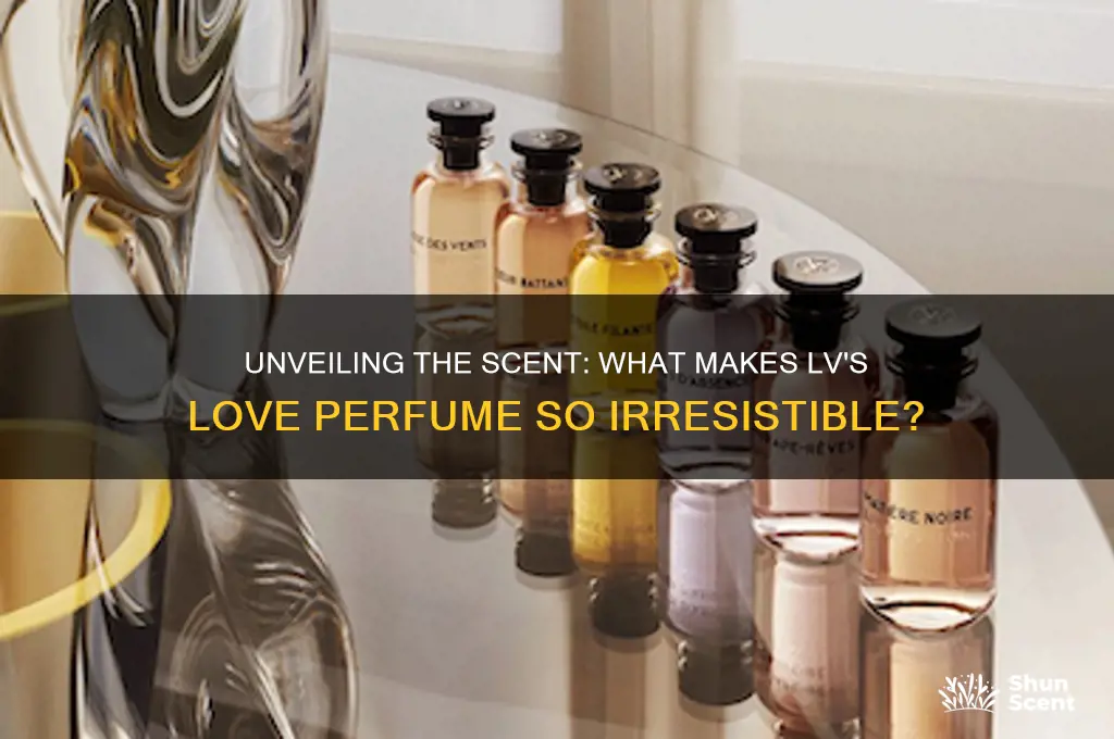 what perfume is lveb