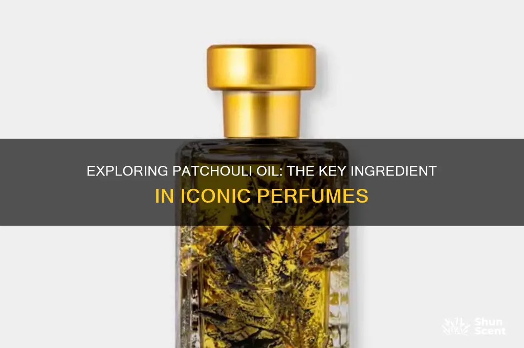 what perfume is made from patchouli oil