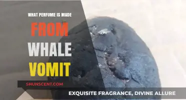 The Surprising Truth About Whale Vomit in Perfume